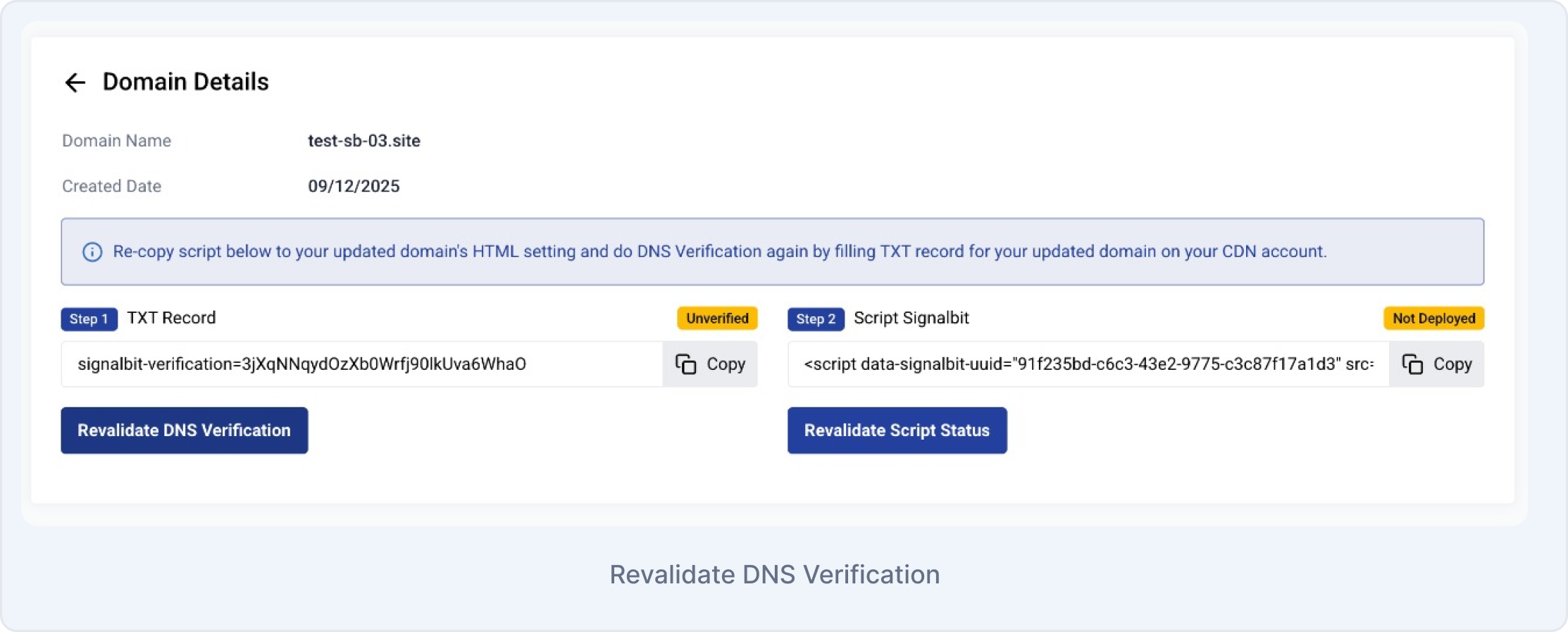 Domain Details TXT