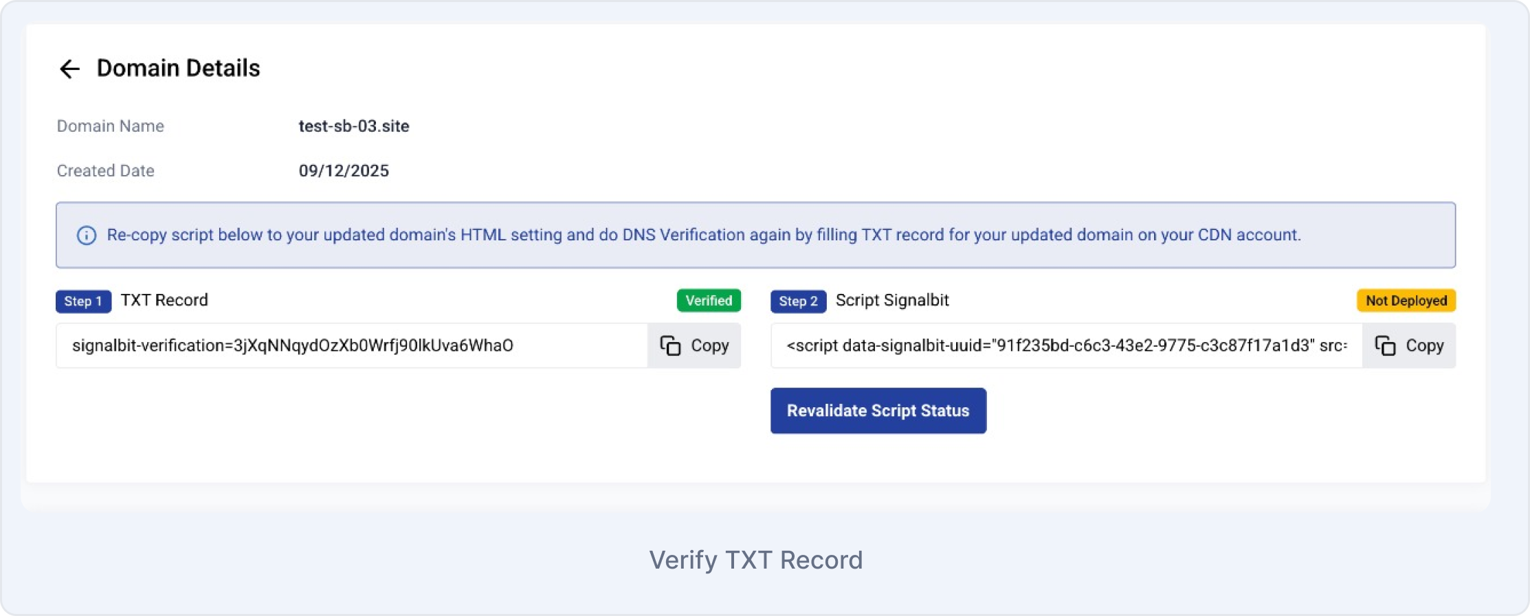 Domain Details Verify